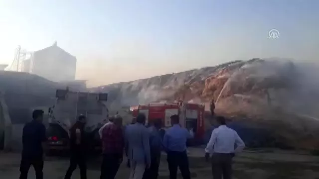 10 bin büyükbaş hayvanın bulunduğu çiftlikte yangın