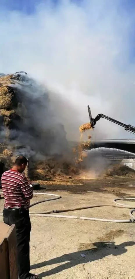 100 bin hayvanın bulunduğu çiftlikte yangın