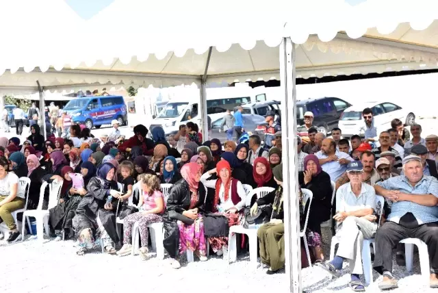 Altıeylül güreşlerinde Ali Gürbüz başpehlivan oldu Altıeylül güreşlerinde Ali Gürbüz başpehlivan oldu