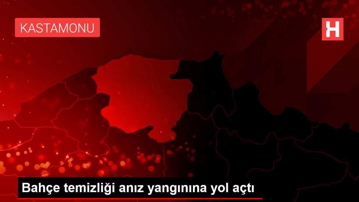 Bahçe temizliği anız yangınına yol açtı