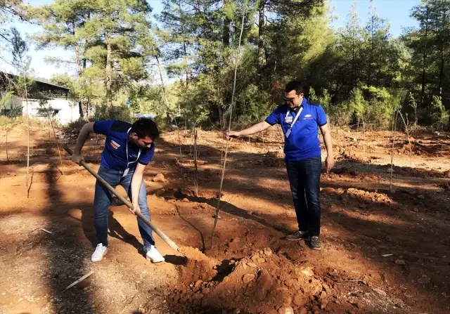 Dünya Ralli Şampiyonası'nın Türkiye etabı