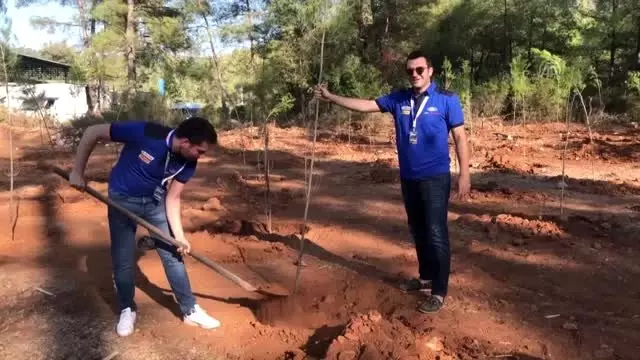Dünya Ralli Şampiyonası'nın Türkiye etabı