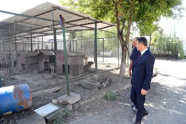 Gölbaşı'ndaki hayvan barınağı taşınsın talebi