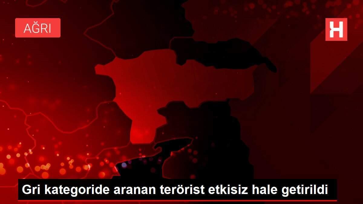 Gri kategoride aranan terörist etkisiz hale getirildi