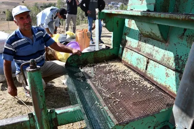 Kadın yetişti, herşey yetişti Kadın yetişti, herşey yetişti