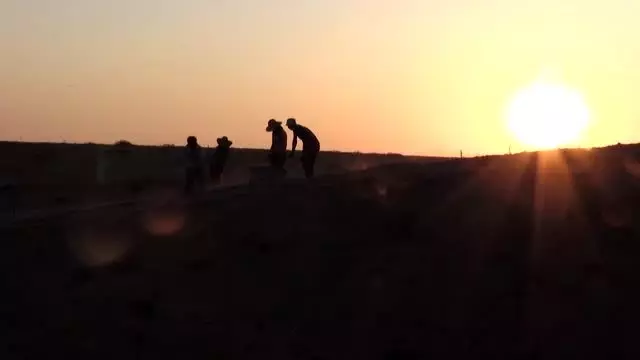Kilis'te 4 bin yıllık saray kalıntısı bulundu Kilis'te 4 bin yıllık saray kalıntısı bulundu