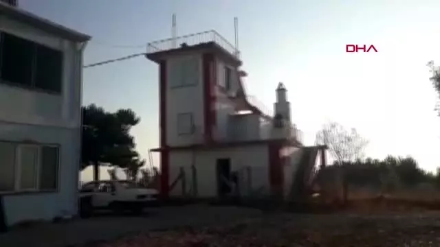 Kütahya yangın gözetleme kulesi bahçesine gelen ayı, elmaları yedi
