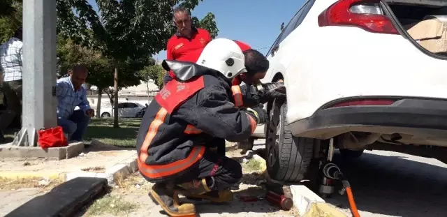 Sınırda haber takip eden basın mensubunun aracına kedi girdi