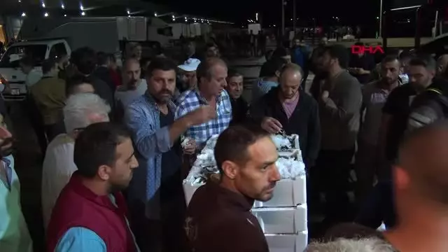 İklim değişikliği balık türlerini azalttı denizlerimizde balık kalmadı İklim değişikliği balık türlerini azalttı denizlerimizde balık kalmadı