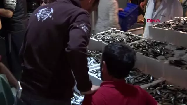 İklim değişikliği balık türlerini azalttı denizlerimizde balık kalmadı İklim değişikliği balık türlerini azalttı denizlerimizde balık kalmadı