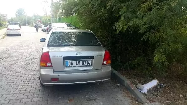 Ölen kuş için kartondan mezar başlığı