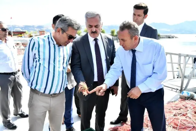 Vali, tekneyle göle açılarak, bahçede elma topladı Vali, tekneyle göle açılarak, bahçede elma topladı