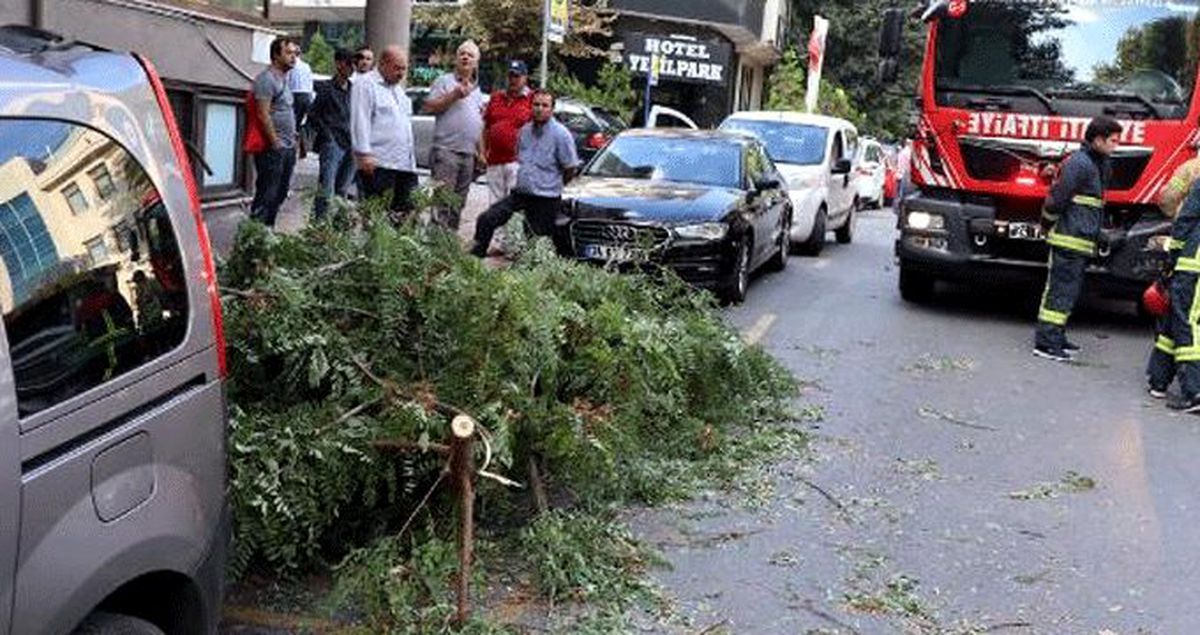 İstanbul'da şiddetli rüzgar, dalları ağaçtan söktü