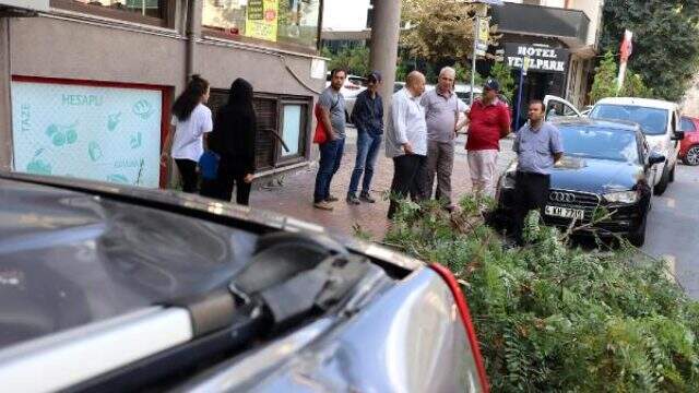 İstanbul'da şiddetli rüzgar, dalları ağaçtan söktü