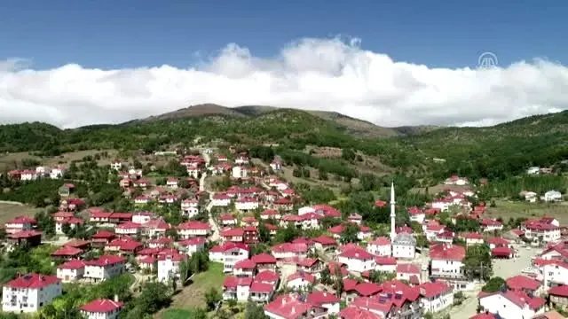 Karadeniz’in doğasını ve mimarisini koruyan mahalle: Yeşilce