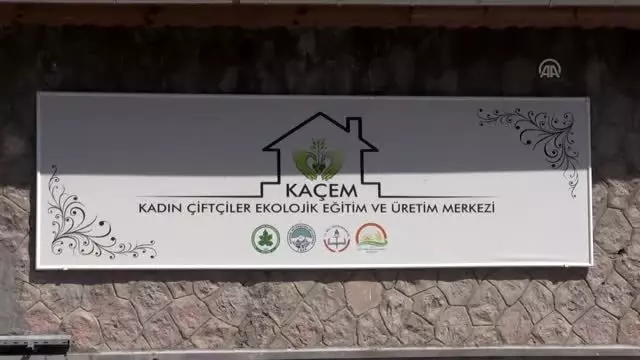 Kooperatif çatısı altında buluşan kadın çiftçiler iş hayatına atıldı Kooperatif çatısı altında buluşan kadın çiftçiler iş hayatına atıldı