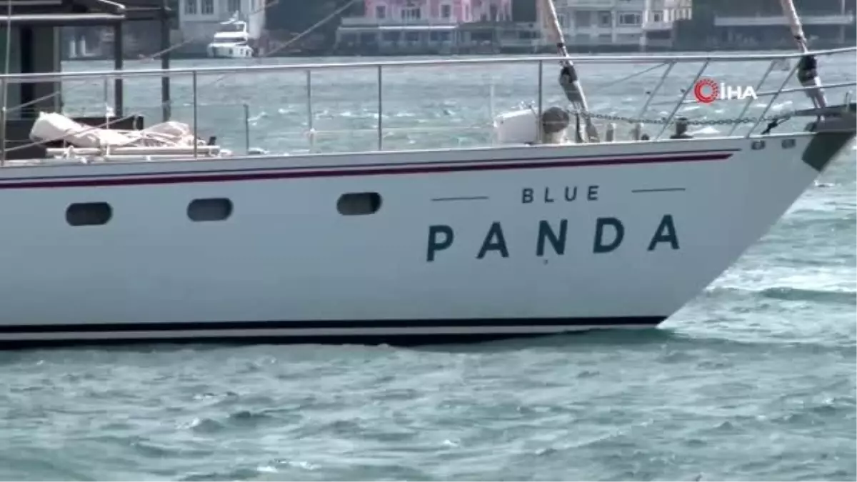 Plastik kirliliğine karşı yola çıkan Blue Panda İstanbul'da