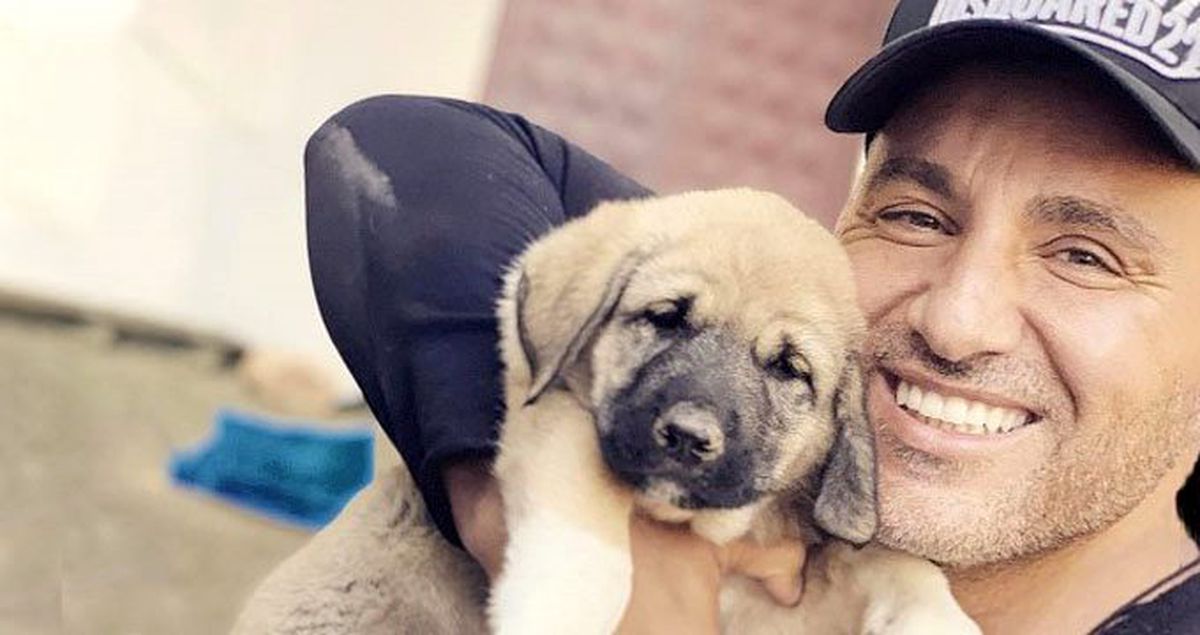 Ünlü iş adamı ve şarkıcı Mr. Jade, köpek barınağına sahip çıktı
