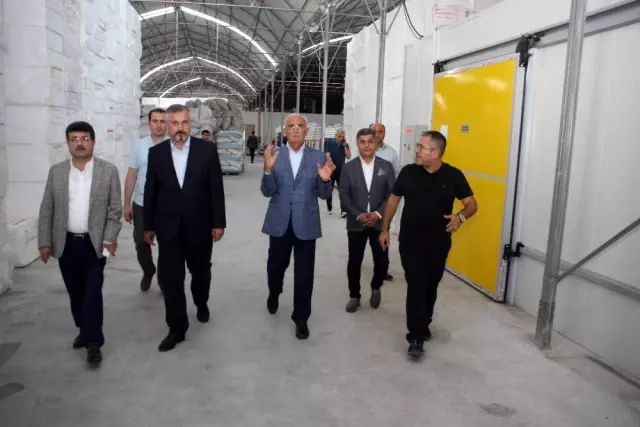 Yılmaz: