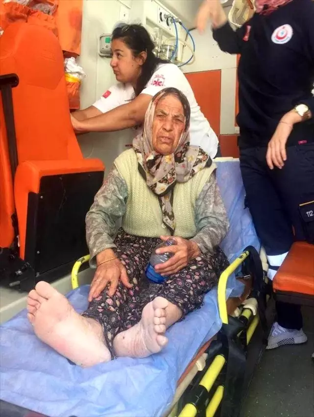 Alzaymır hastası yaşlı kadını jandarma ekipleri buldu Alzaymır hastası yaşlı kadını jandarma ekipleri buldu