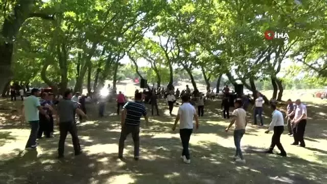 Bu da çobanların bayramı Bu da çobanların bayramı