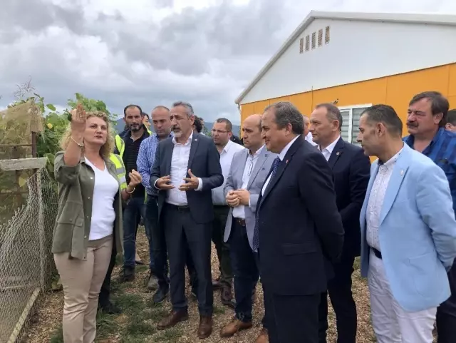 CHP heyeti altın madeni sahasında incelemelerde bulundu