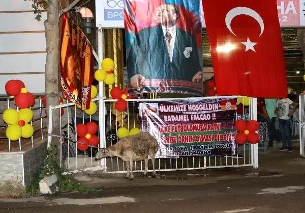 'Falcao gelirse kurban keseceğim' diyen esnaf, sözünü yerine getirdi 'Falcao gelirse kurban keseceğim' diyen esnaf, sözünü yerine getirdi
