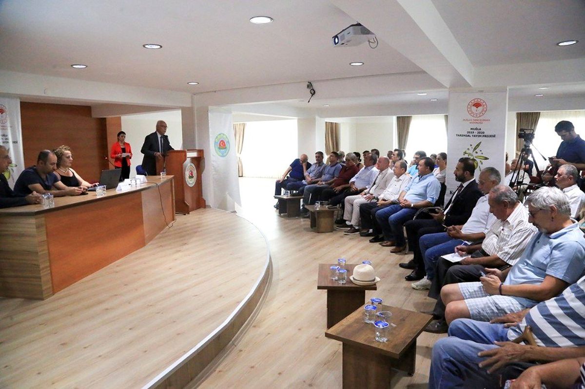 Muğla'da 'Zeytinin Zeytinyağına Kayıpsız ve Kaliteli Yolculuğu'na yoğun ilgi
