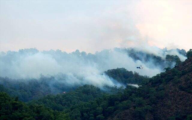 Muğla'nın Ortaca ilçesinde orman yangını
