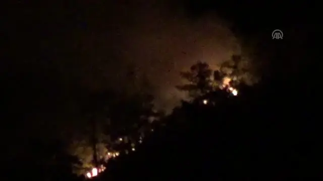 Orman yangını Orman yangını