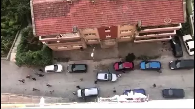 Taşlı sopalı kavga: 5 yaralı Taşlı sopalı kavga: 5 yaralı