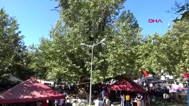 800 yıllık çınarın altında köylü pazarı açıldı 800 yıllık çınarın altında köylü pazarı açıldı