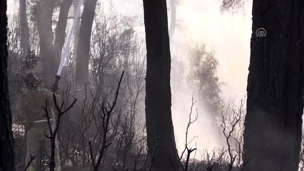 Denizli ve Aydın'da orman yangını! Kontrol altına almak 5 saat sürdü