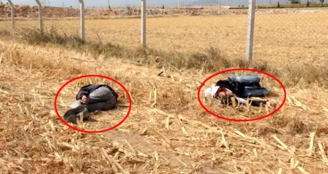 Karaman'da iki genç, mısır tarlasında baygın halde bulundu