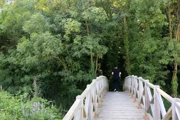 Sadece bilim insanlarının girebildiği orman, projeyle gezilecek Sadece bilim insanlarının girebildiği orman, projeyle gezilecek