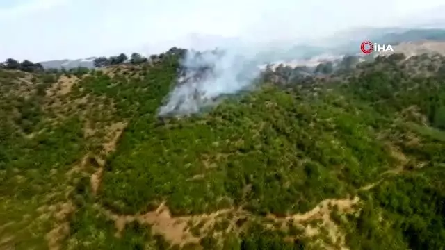 Yıldırım düşen ormanlık alanda yangın çıktı Yıldırım düşen ormanlık alanda yangın çıktı