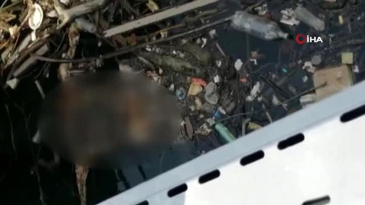 Barajda cesedi bulunan kadının 1 yıl önce öldüğü tahmin ediliyor
