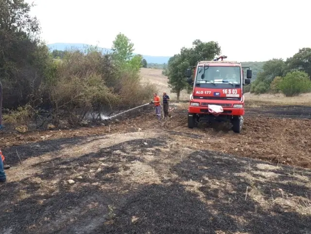 Bilecik'te anız yangını