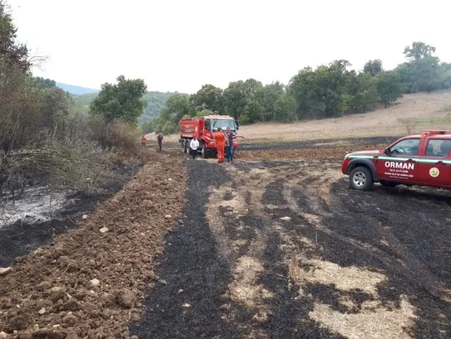 Bilecik'te anız yangını Bilecik'te anız yangını