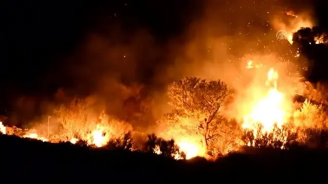 Bodrum'da makilik alanda yangın Bodrum'da makilik alanda yangın