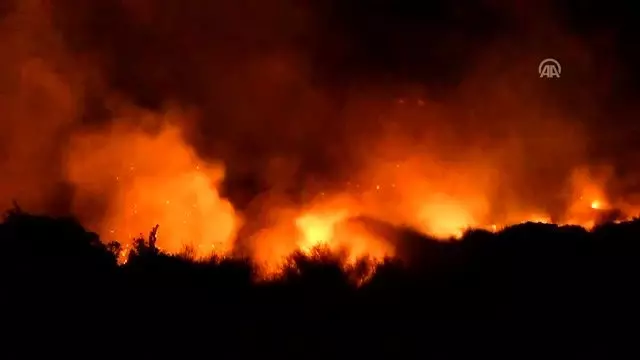 Bodrum'da makilik alanda yangın Bodrum'da makilik alanda yangın