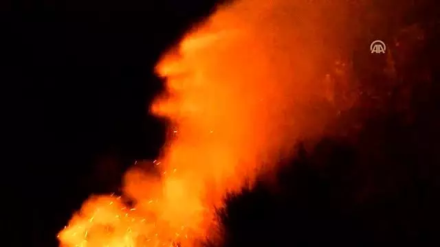 Bodrum'da makilik alanda yangın Bodrum'da makilik alanda yangın