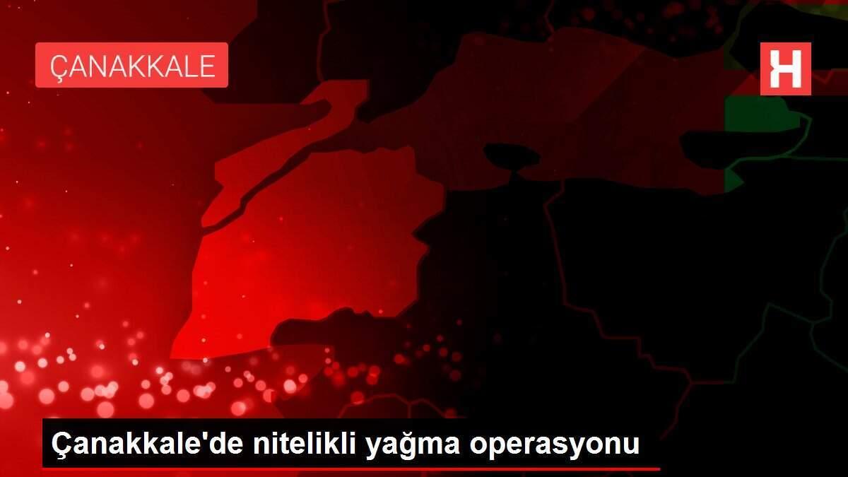 Çanakkale'de nitelikli yağma operasyonu Çanakkale'de nitelikli yağma operasyonu