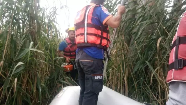 SEDAŞ ekipleri Sapanca Gölünde bakım yaptı