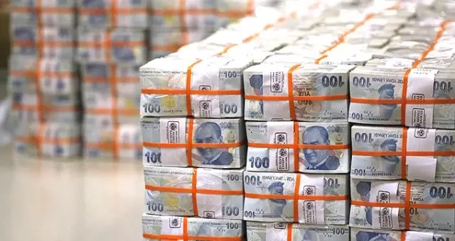 Merkezi yönetim bütçesi Ağustos'ta 576 milyon TL fazla verdi