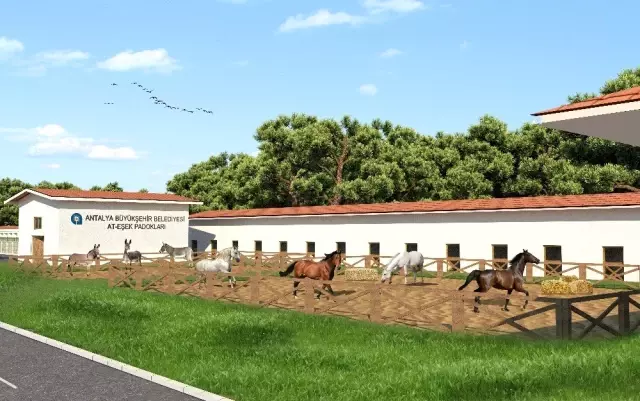 Antalya�ya yerden ısıtmalı modern hayvan barınağı Haberler