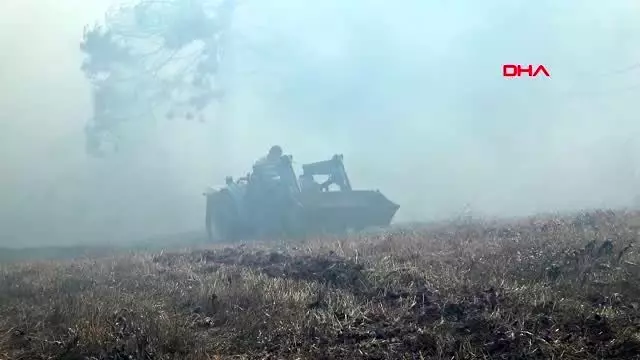 Bolu'da, orman yangının 10 dönümlük alan zarar gördü Bolu'da, orman yangının 10 dönümlük alan zarar gördü