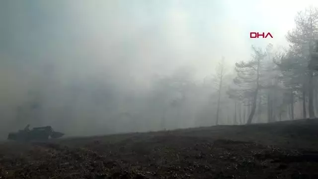 Bolu'da, orman yangının 10 dönümlük alan zarar gördü Bolu'da, orman yangının 10 dönümlük alan zarar gördü