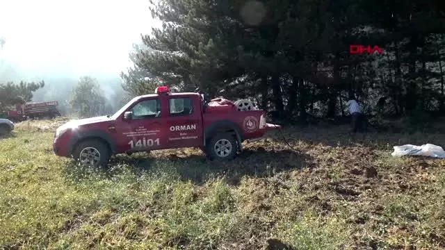 Bolu'da, orman yangının 10 dönümlük alan zarar gördü Bolu'da, orman yangının 10 dönümlük alan zarar gördü