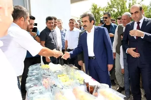 Diyarbakır'da bağ bozumu ve badem hasadı Diyarbakır'da bağ bozumu ve badem hasadı